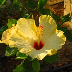 2015-09-05 07-08-11 Hotel